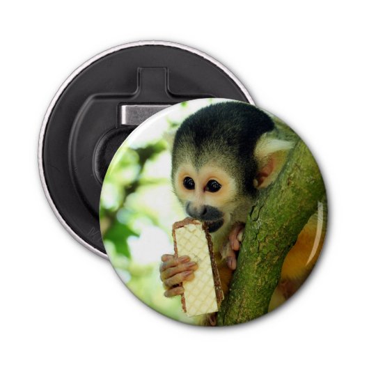 Cute Baby Squirrel Monkey die een Wafer Biscuit ee Button Flesopener (Voorkant)