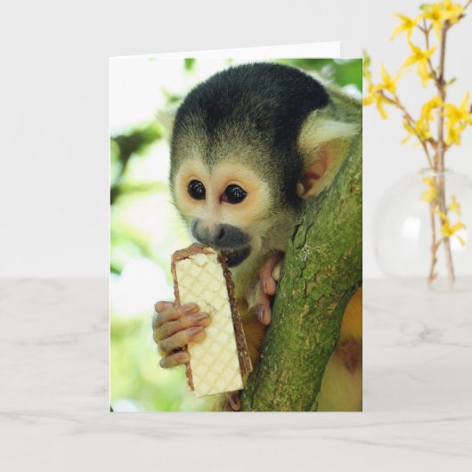 Cute Baby Squirrel Monkey die een Wafer Biscuit ee Kaart (Gele Bloem)