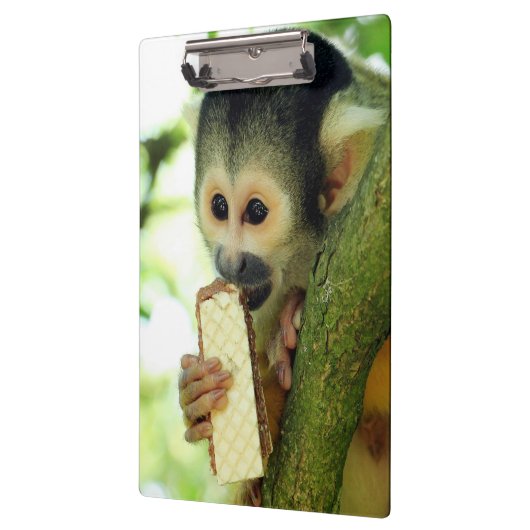 Cute Baby Squirrel Monkey die een Wafer Biscuit ee Klembord (Links)