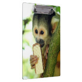 Cute Baby Squirrel Monkey die een Wafer Biscuit ee Klembord (Rechts)