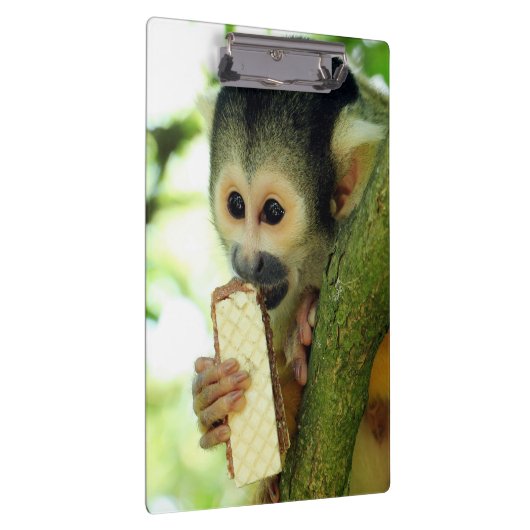 Cute Baby Squirrel Monkey die een Wafer Biscuit ee Klembord (Rechts)