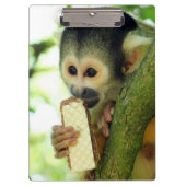 Cute Baby Squirrel Monkey die een Wafer Biscuit ee Klembord (Voorkant)
