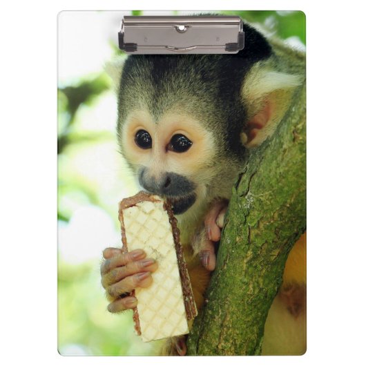 Cute Baby Squirrel Monkey die een Wafer Biscuit ee Klembord (Voorkant)