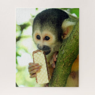 Cute Baby Squirrel Monkey die een Wafer Biscuit ee Legpuzzel