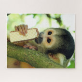 Cute Baby Squirrel Monkey die een Wafer Biscuit ee Legpuzzel (Horizontaal)