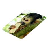Cute Baby Squirrel Monkey die een Wafer Biscuit ee Magneet (Linkerzijde)