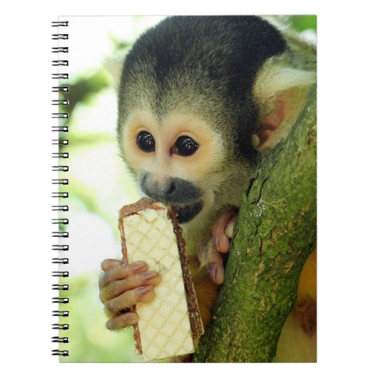Cute Baby Squirrel Monkey die een Wafer Biscuit ee Notitieboek (Voorkant)