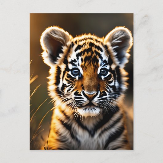 Cute Baby Tiger Cub Briefkaart (Voorkant)
