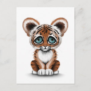 Cute Baby Tiger Cub met Blue Eyes op White Briefkaart