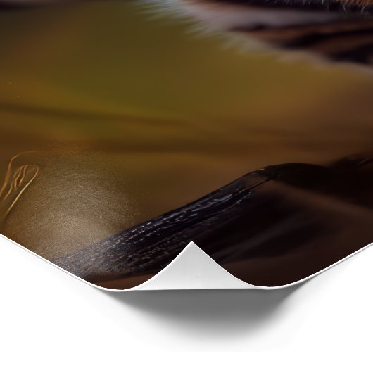 Cute Baby Tiger Perfect Poster (Hoek)