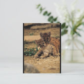 Cute Baby Tigers Briefkaart (Staand voorkant)