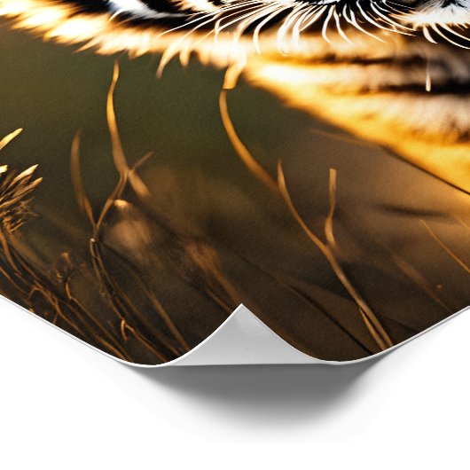 Cute Baby Tijgerwelp Poster (Hoek)