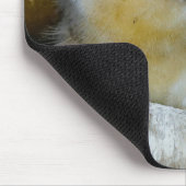 Cute Baby Tree Swallows Kijkend naar Big World Muismat (Hoek)