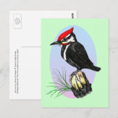 Cute Baby Woodpecker Briefkaart (Voorkant / Achterkant)