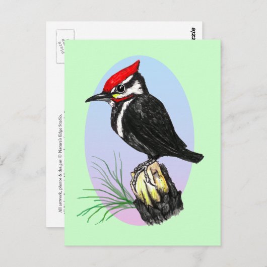 Cute Baby Woodpecker Briefkaart (Voorkant / Achterkant)