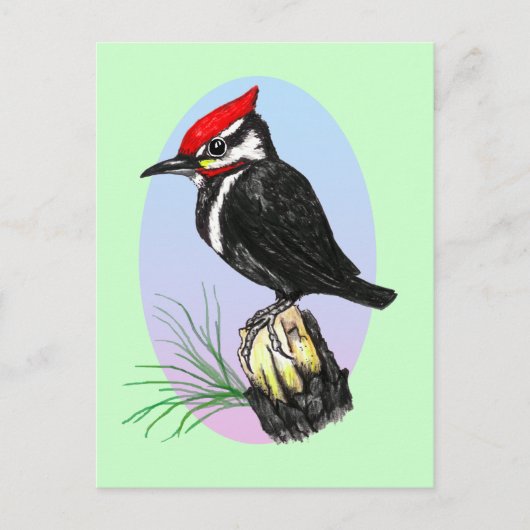 Cute Baby Woodpecker Briefkaart (Voorkant)
