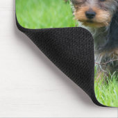 Cute baby yorkie puppy met droeve oogexpressie muismat (Hoek)