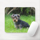 Cute baby yorkie puppy met droeve oogexpressie muismat (Met muis)