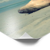 Cute baby-zeehondenzwaai foto afdruk (Hoek)