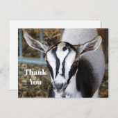 Cute babyschaap foto dank je briefkaart (Voorkant / Achterkant)