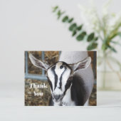 Cute babyschaap foto dank je wel briefkaart (Staand voorkant)