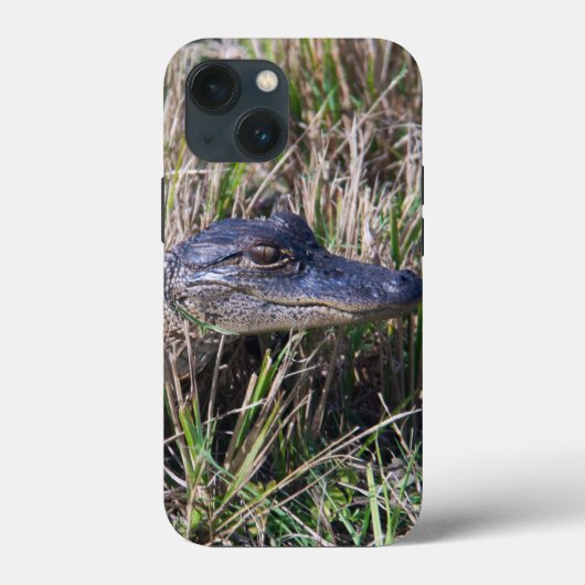 Cute babyslang in hoog gras Wildlife foto Case-Mate iPhone Case (Achterkant)