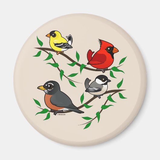 Cute Backyard Birds Magneet (Voorkant)