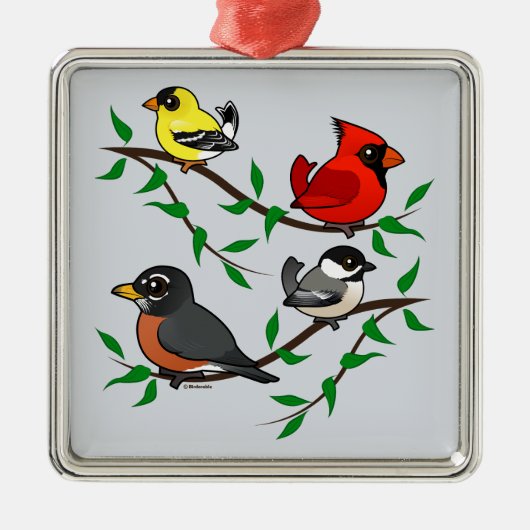 Cute Backyard Birds Metalen Ornament (Voorkant)