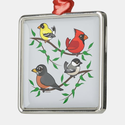 Cute Backyard Birds Metalen Ornament (Links)