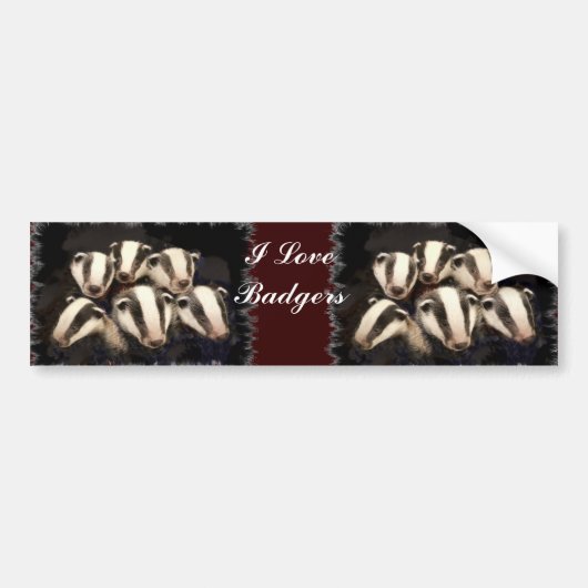 Cute Badger Cubs Bumpersticker (Voorkant)