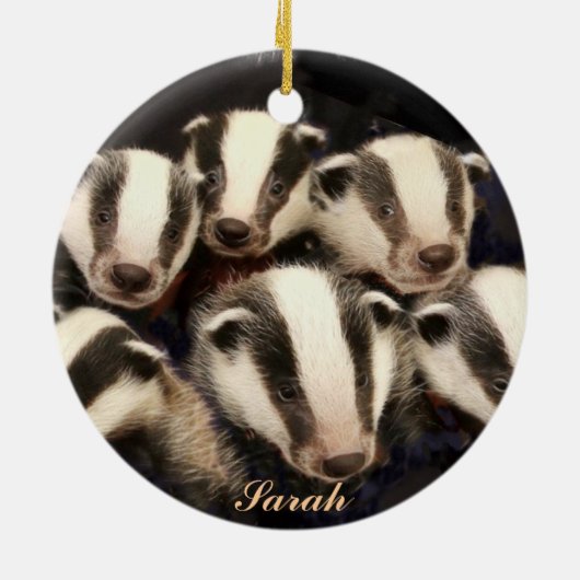 Cute Badger Cubs Keramisch Ornament (Achterkant)