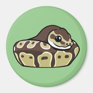 Cute Ball Python Pet Snake Dradge Magnet