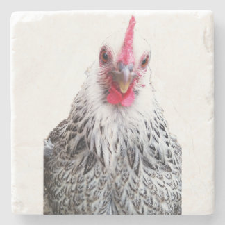 Cute Bantam Cochin Hen Photo Stone Coaster Stenen Onderzetter
