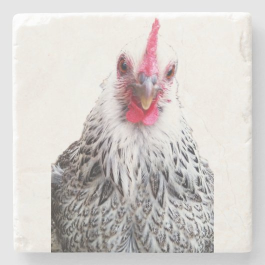 Cute Bantam Cochin Hen Photo Stone Coaster Stenen Onderzetter (Voorkant)
