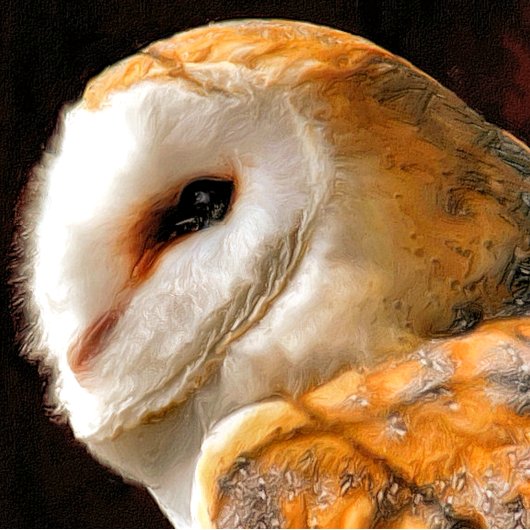 CUTE BARN OWL KAART