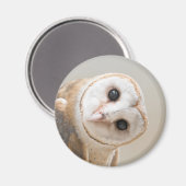 Cute Barn Owl Magneet (Voorkant / Achterkant)