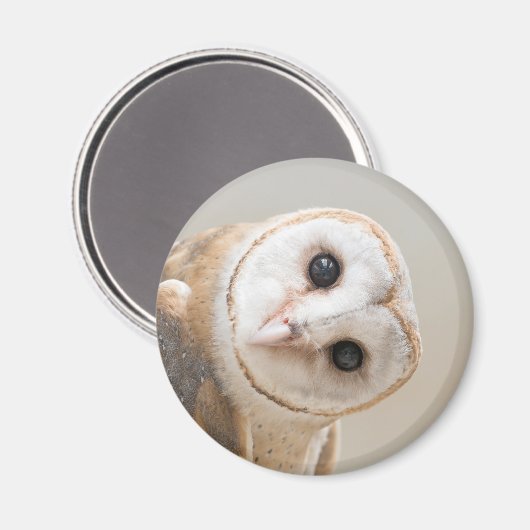 Cute Barn Owl Magneet (Voorkant / Achterkant)