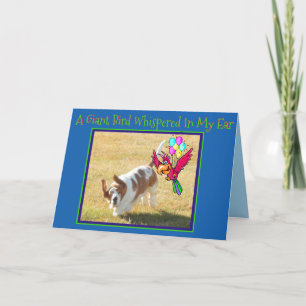 Cute Basset Hound & Bird on Funny Birthday Card Kaart