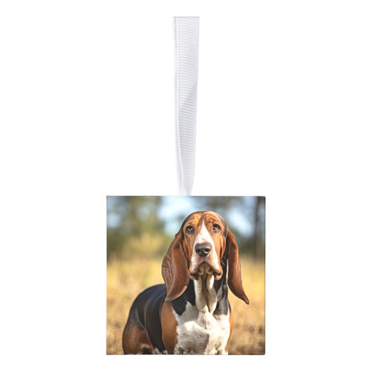 Cute Basset Hound Dog 2-kerstfoto Decoratie (Rechts)