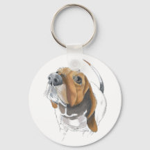 Cute Basset Hound Lovers Close