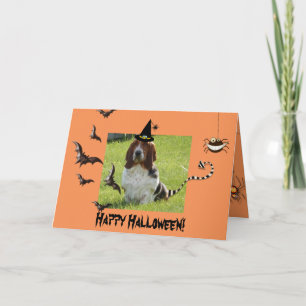 Cute Basset Hound op Funny Halloween-kaart Kaart