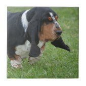 Cute Basset Hound Tegeltje (Voorkant)