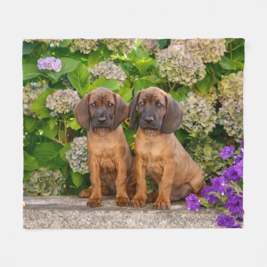 Cute Bavarian Mountain Hound Puppies met bloemen Fleece Deken (Voorkant (Horizontaal))