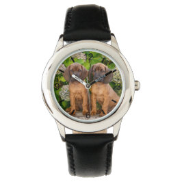 Cute Bavarian Mountain Hound Puppies met bloemen Horloge