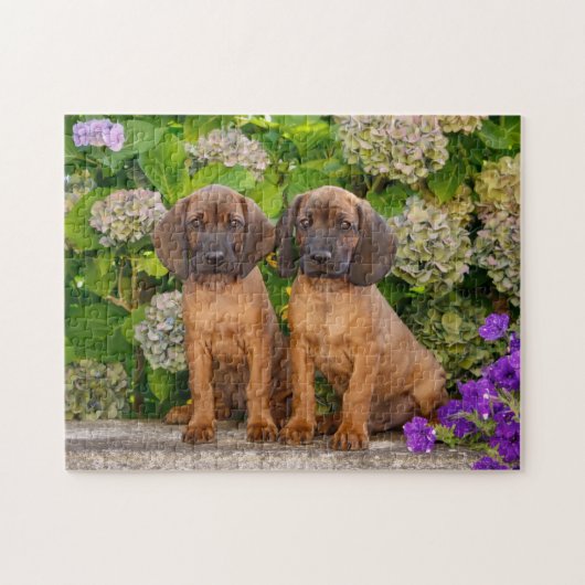 Cute Bavarian Mountain Hound Puppies met bloemen Legpuzzel (Horizontaal)