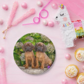 Cute Bavarian Mountain Hound Puppies met bloemen Papieren Bordje (Feest)