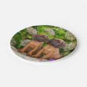 Cute Bavarian Mountain Hound Puppies met bloemen Papieren Bordje (Gekanteld)