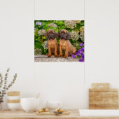 Cute Bavarian Mountain Hound Puppies met bloemen Poster (Keuken)