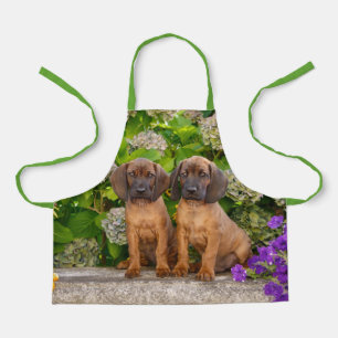 Cute Bavarian Mountain Hound Puppies met bloemen Schort