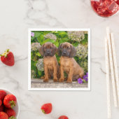 Cute Bavarian Mountain Hound Puppies met bloemen Servet (Insitu)